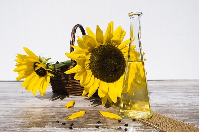 tratamentul comun al uleiului de floarea soarelui