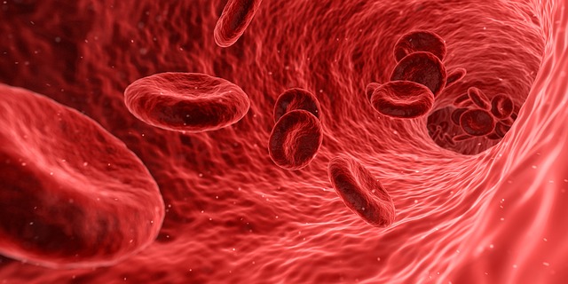 celule sangvine