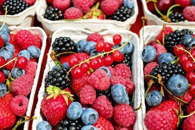 fructe pentru tratament comun