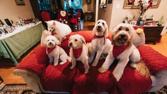 sarbatori in familie