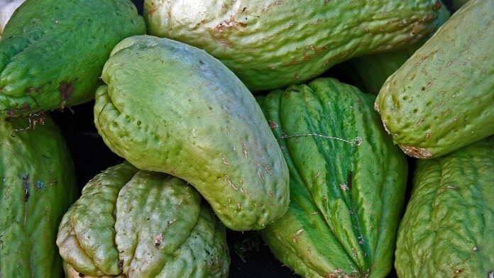 dovlecel chayote