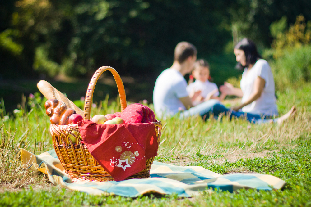 picnic în aer liber cu familia