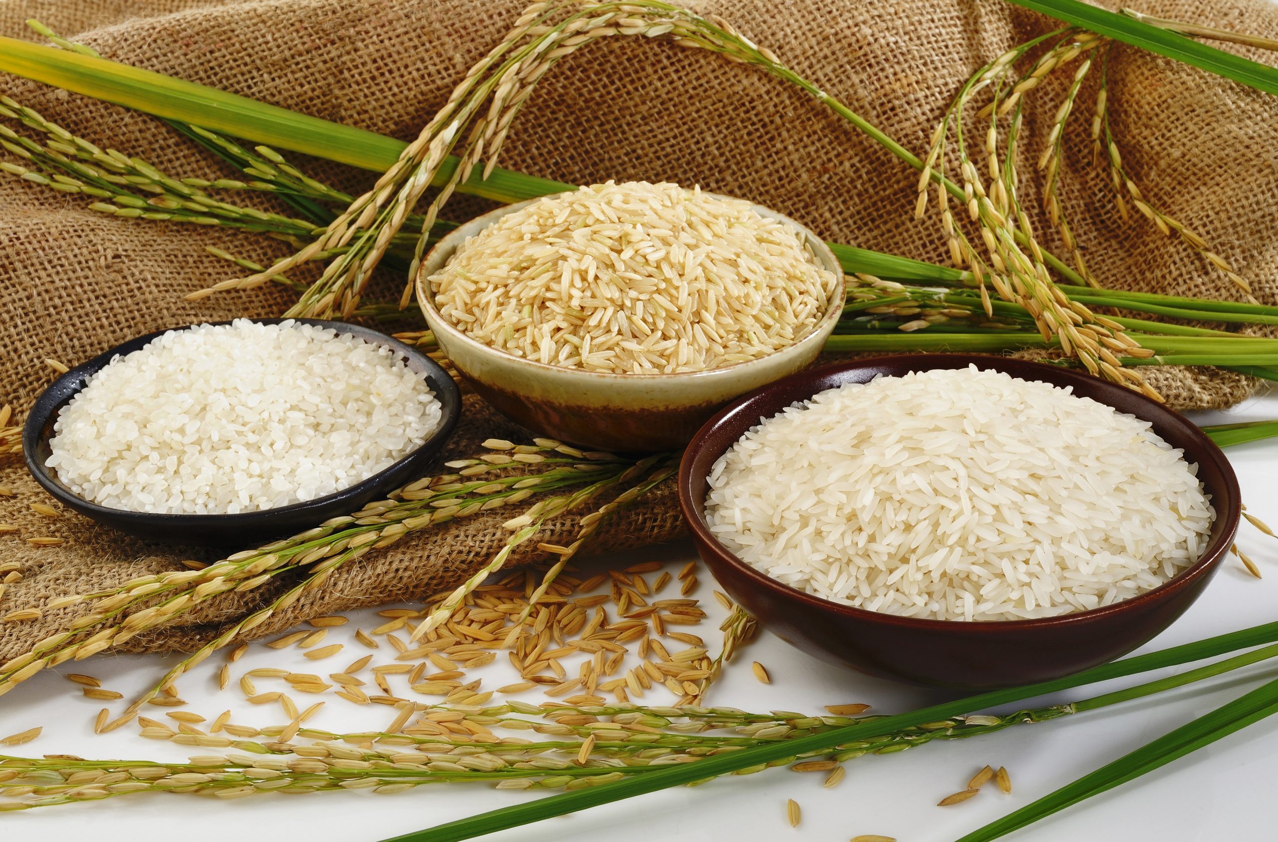 orezul brun și orezul alb